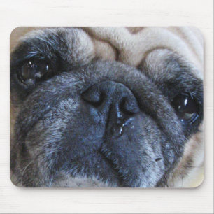 Hol dir bald einen tollen Mops-Hund Mousepad