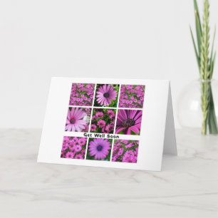 Hol dir bald Pink African Daisy Foto Collag Einladung