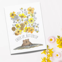 Hol dir wohltuende Groundhog Cheup, Buttercups Aqu