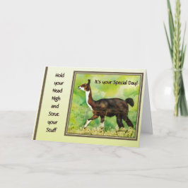 Hold Your Head High & Strut Your Stuff  Karte