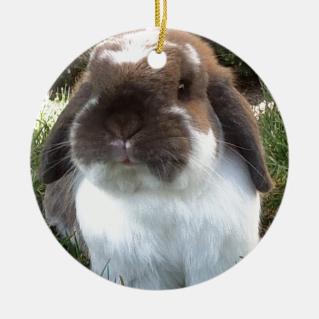 Holen Sie etwas Furriness in Ihr Leben! Keramik Ornament (Vorne)