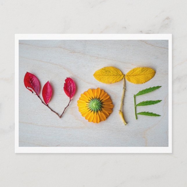 Holen Sie sich die VOTE Postkarte heraus (Vorderseite)