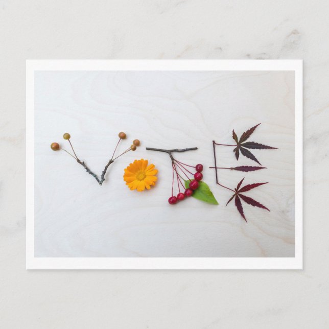 Holen Sie sich die VOTE Postkarte heraus (Vorderseite)