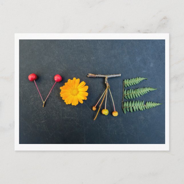 Holen Sie sich die VOTE Postkarte heraus (Vorderseite)