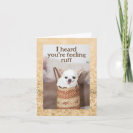 Holen Sie sich gut niedliche Hunde chihuahua Gold  Karte
