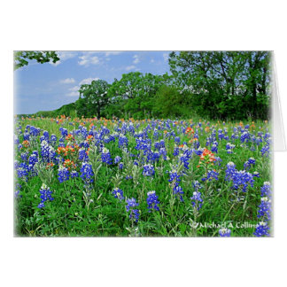 Holen Sie sich Ihr Kissen