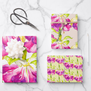 Holi auf einem Wrapping Paper-Set Geschenkpapier Set