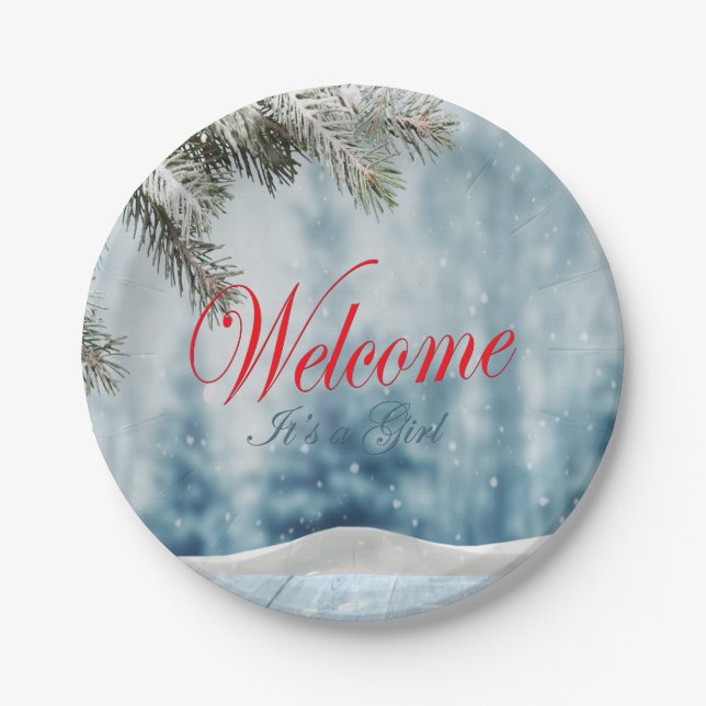 Holiday Baby Dusche Pappteller (Vorderseite)