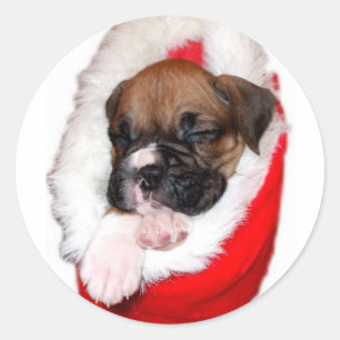 Holiday Boxer Welpenaufkleber Runder Aufkleber