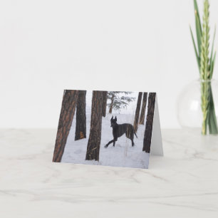 Holiday Card Feiertagskarte