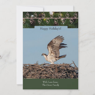 Holiday Card mit Osprey im Nest Feiertagskarte