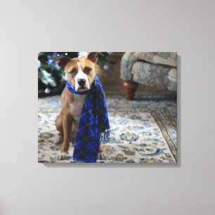 Holiday Cheer von Pit Bull Rescue Dog Leinwanddruck