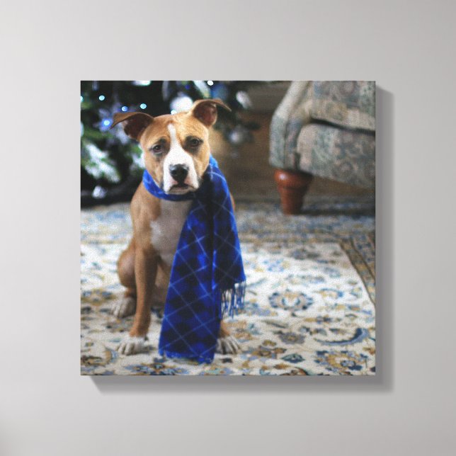 Holiday Cheer von Pit Bull Rescue Dog Leinwanddruck (Vorderseite)