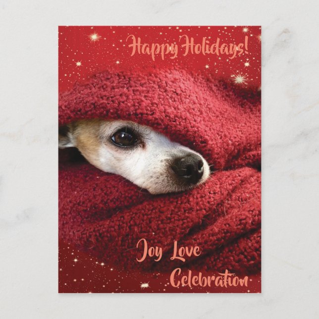 Holiday Chihuahua Feiertagspostkarte (Vorderseite)