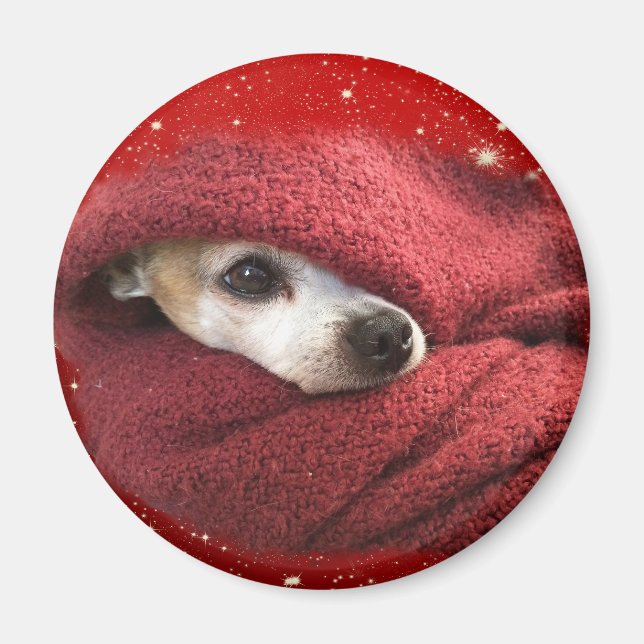 Holiday Chihuahua Magnet (Vorne)