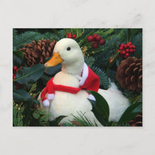 Holiday Duck Feiertagspostkarte