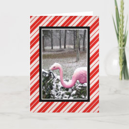 Holiday Flamingo Grußkarte Feiertagskarte