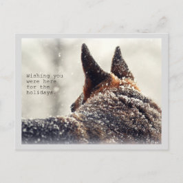 Holiday German Shepherd Feiertagspostkarte