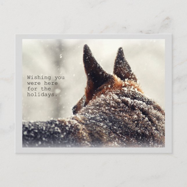 Holiday German Shepherd Feiertagspostkarte (Vorderseite)