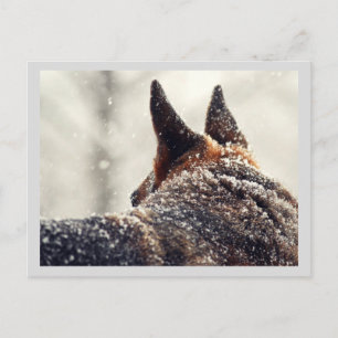 Holiday German Shepherd Feiertagspostkarte