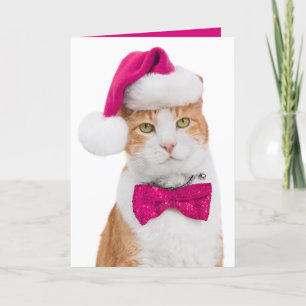 Holiday Grußkarte Spunky Kitty Feiertagskarte