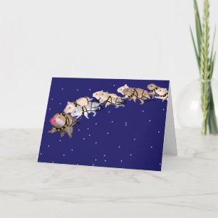 Holiday Hamsters Feiertagskarte