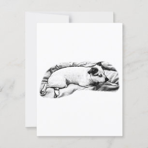 Holiday Hello aus Blanket und Buddy Postkarte