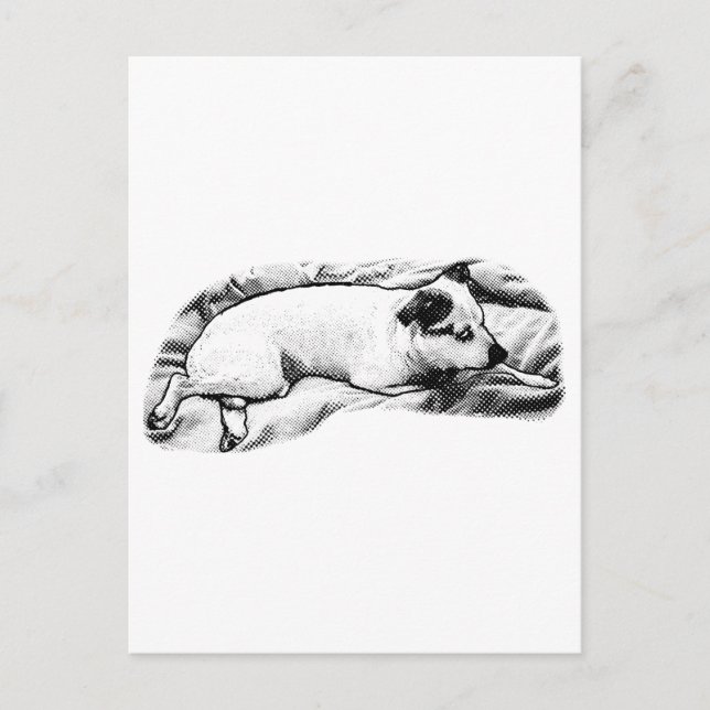 Holiday Hello aus Blanket und Buddy Postkarte (Vorderseite)