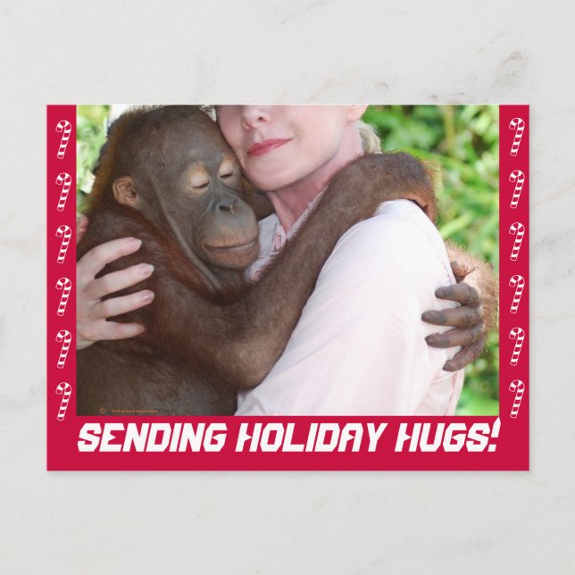 Holiday Hugs Postkarte (Vorderseite)