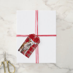 Holiday Kariert Staffordshire Dog Lover Weihnachte Geschenkanhänger