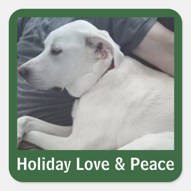 Holiday Love and Peace Cute Dog Photo with Dad Quadratischer Aufkleber (Vorderseite)