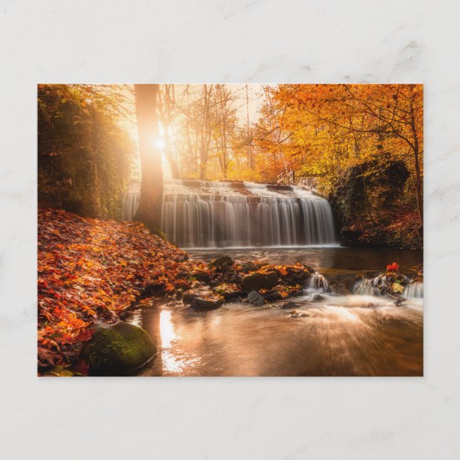 Holiday Postcard Feiertagspostkarte (Vorderseite)