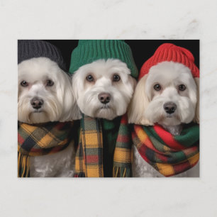 Holiday Pups Einladungspostkarte