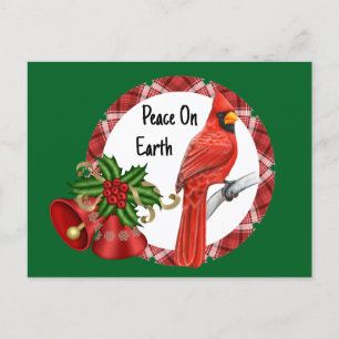 Holiday Red Kardinal Postcard Postkarte