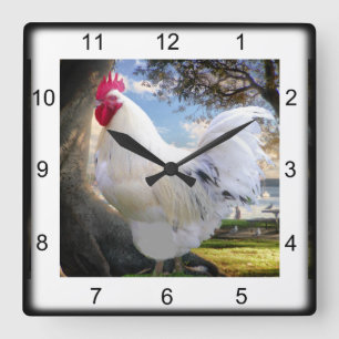 Holiday Rooster Quadratische Wanduhr