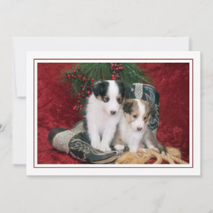 Holiday Shetland Sheepdog Welpen Feiertagskarte