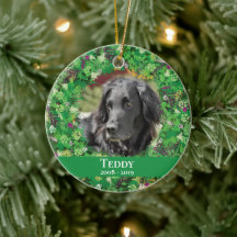 Holiday Wreath Pet