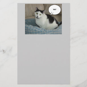 Holla Cat Spaß Briefpapier