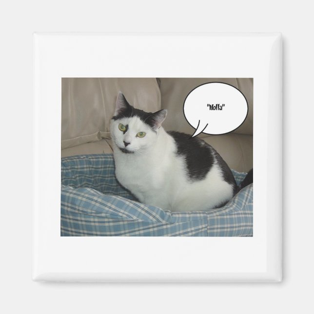 Holla! Magnet (Vorne)