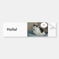 Holla /Raise the Roof! Hallo