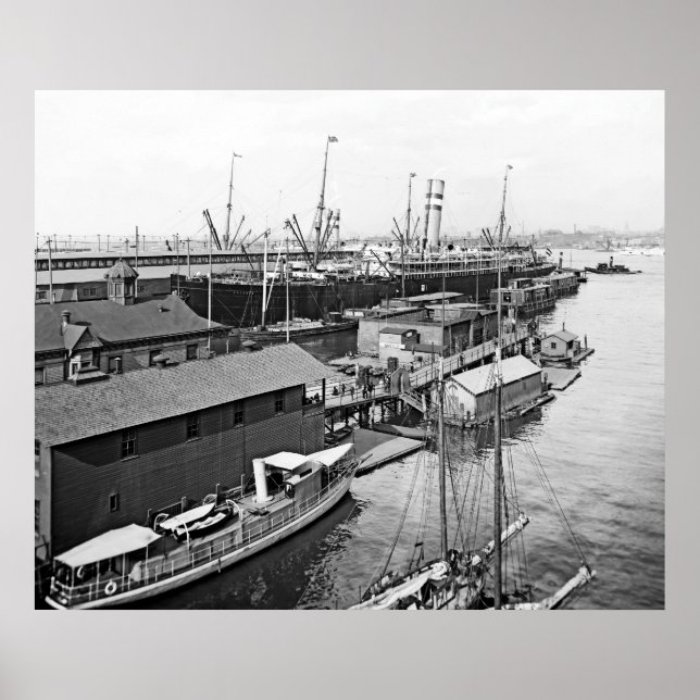 Holland America Line Poster (Vorne)