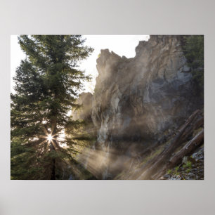 Holland Falls Lolo National Forest, Montana Poster