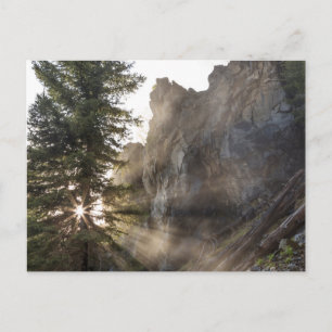 Holland Falls   Lolo National Forest, Montana Postkarte