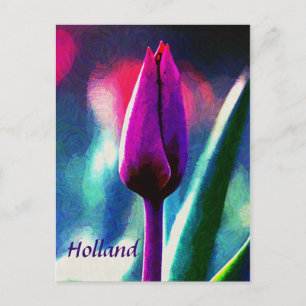 Holland, frisch blühende violette Tulpen-Postkarte Postkarte