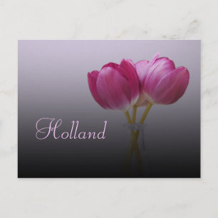 Holland, Frühlings-Tulpen Postkarte