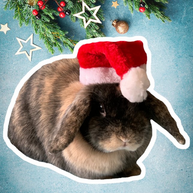Holland Lop Bunny Daisy Custom Weihnachtssticker Aufkleber (Von Creator hochgeladen)