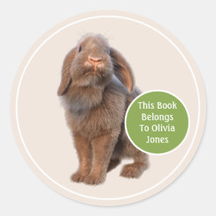 Holland Lop Kaninchen individuelles Exlibris Runder Aufkleber