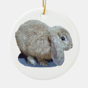 Holland Lop Ohr Kaninchen Schmuck Keramikornament