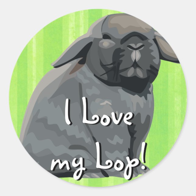 Holland Lop Stickers (Vorderseite)