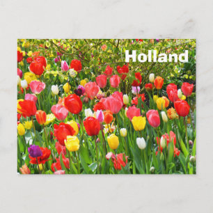 Holland Postkarte